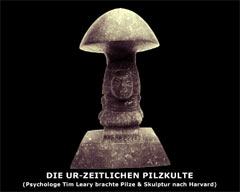 9_mushroom_cult